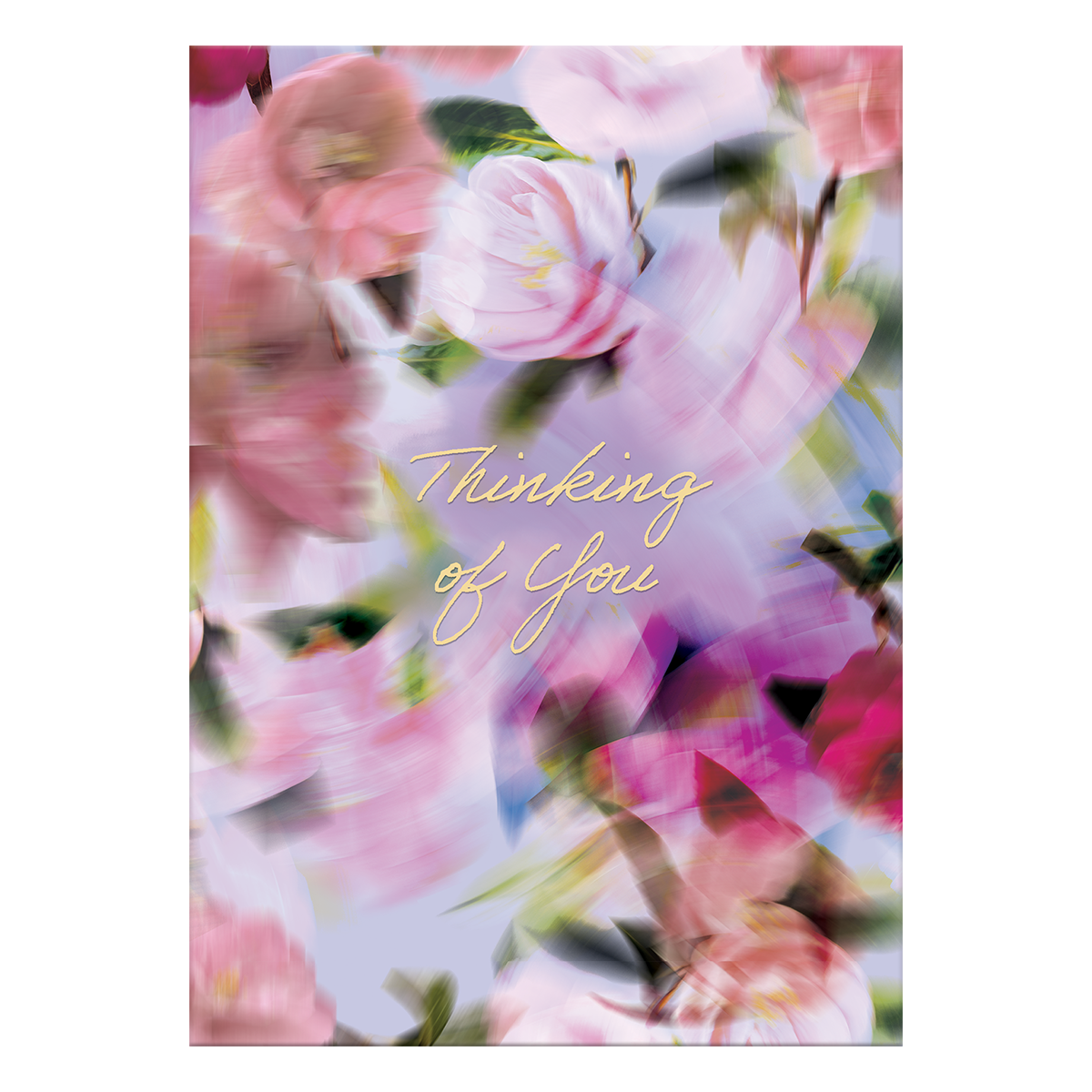 Blurred Roses Thinking of you Greeting Card