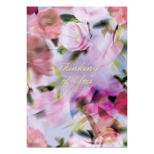 Blurred Roses Thinking of you Greeting Card